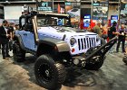SEMA2014 (490)
